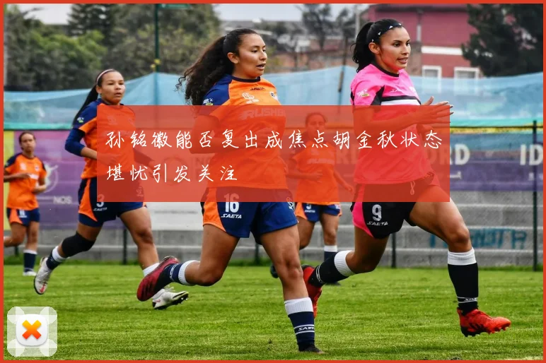 孙铭徽能否复出成焦点胡金秋状态堪忧引发关注