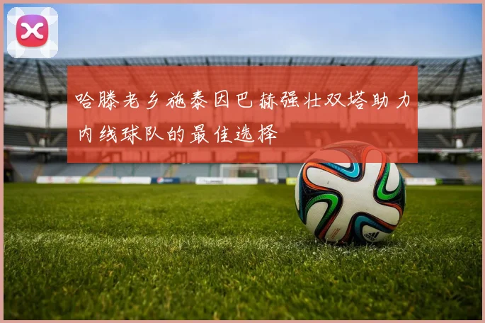 哈滕老乡施泰因巴赫强壮双塔助力内线球队的最佳选择